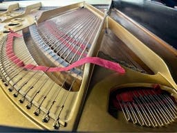 Wissner 7' Grand Piano, copy of Steinway B - PhotoNov082023_32426PM_ee5a1d60-bce0-4193-a19a-fd9cb94695ae