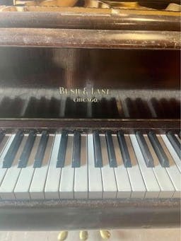 Bush and Lane Louis Grand Piano - PhotoNov142023_113229AM