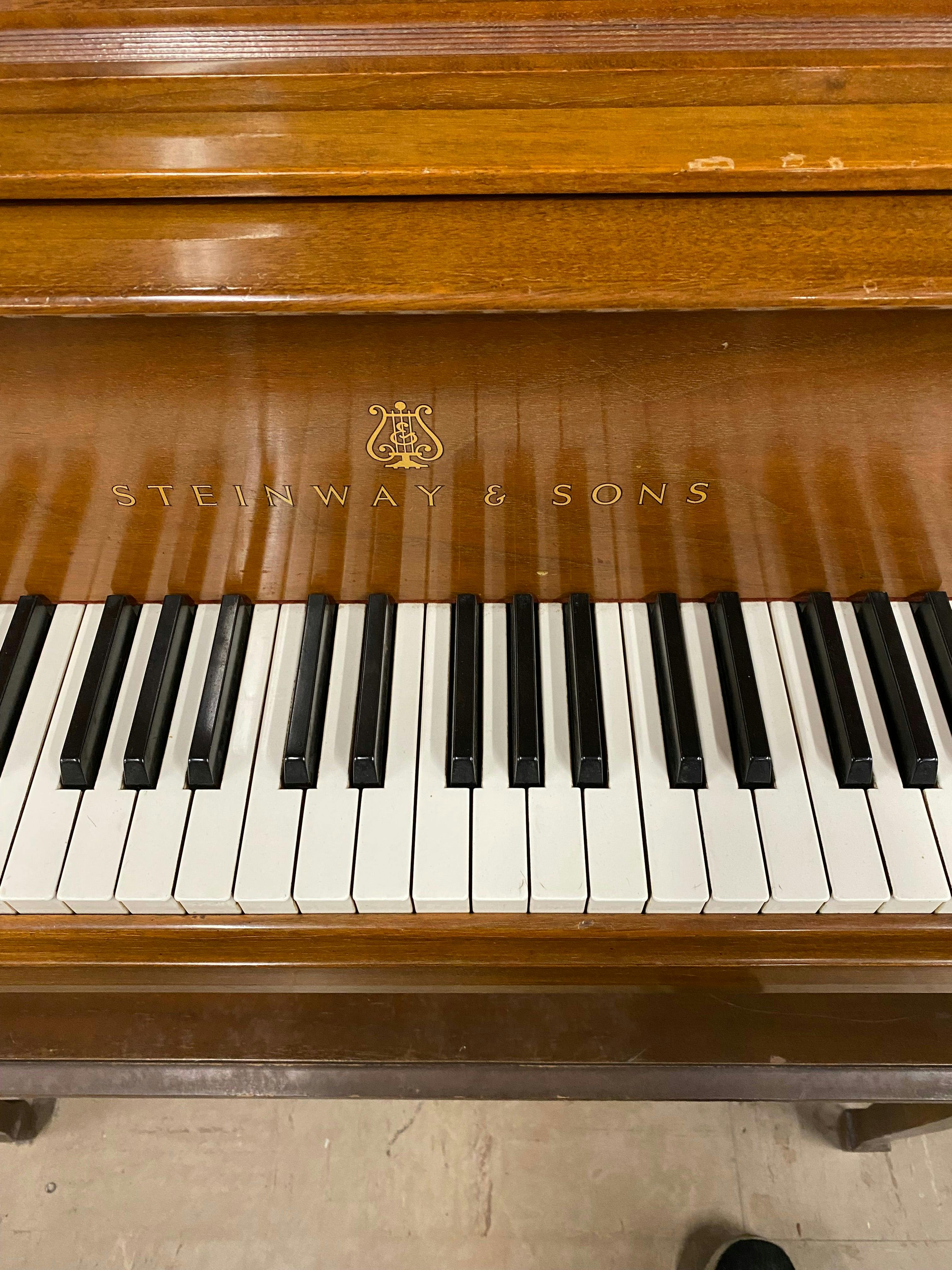 Steinway M Grand Piano - PhotoNov132023_50042PM