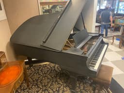 Steinway B circa 1915 6' 11 1/2" Incredible original condition! - SteinwayB1915grand-6