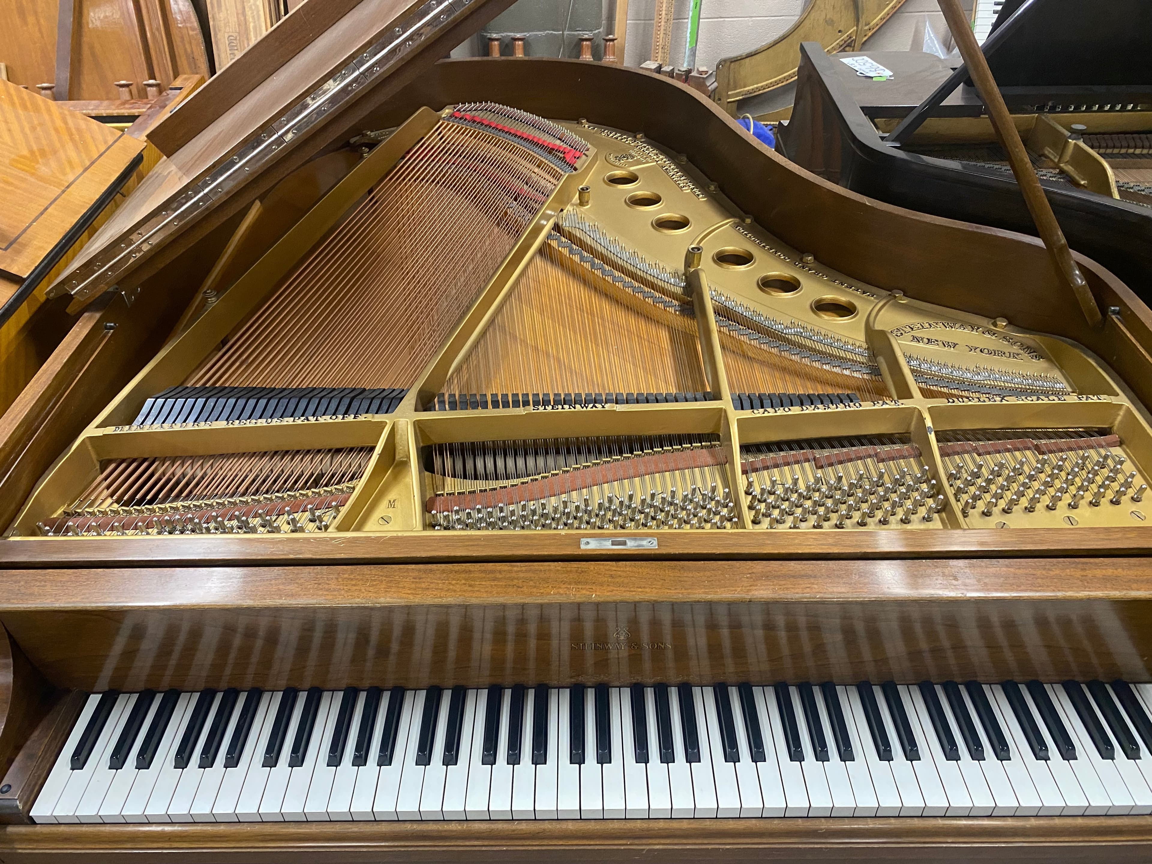 Steinway model M 5’7” circa 1924 walnut grand piano. - SteiwnayMwalnut-7_1