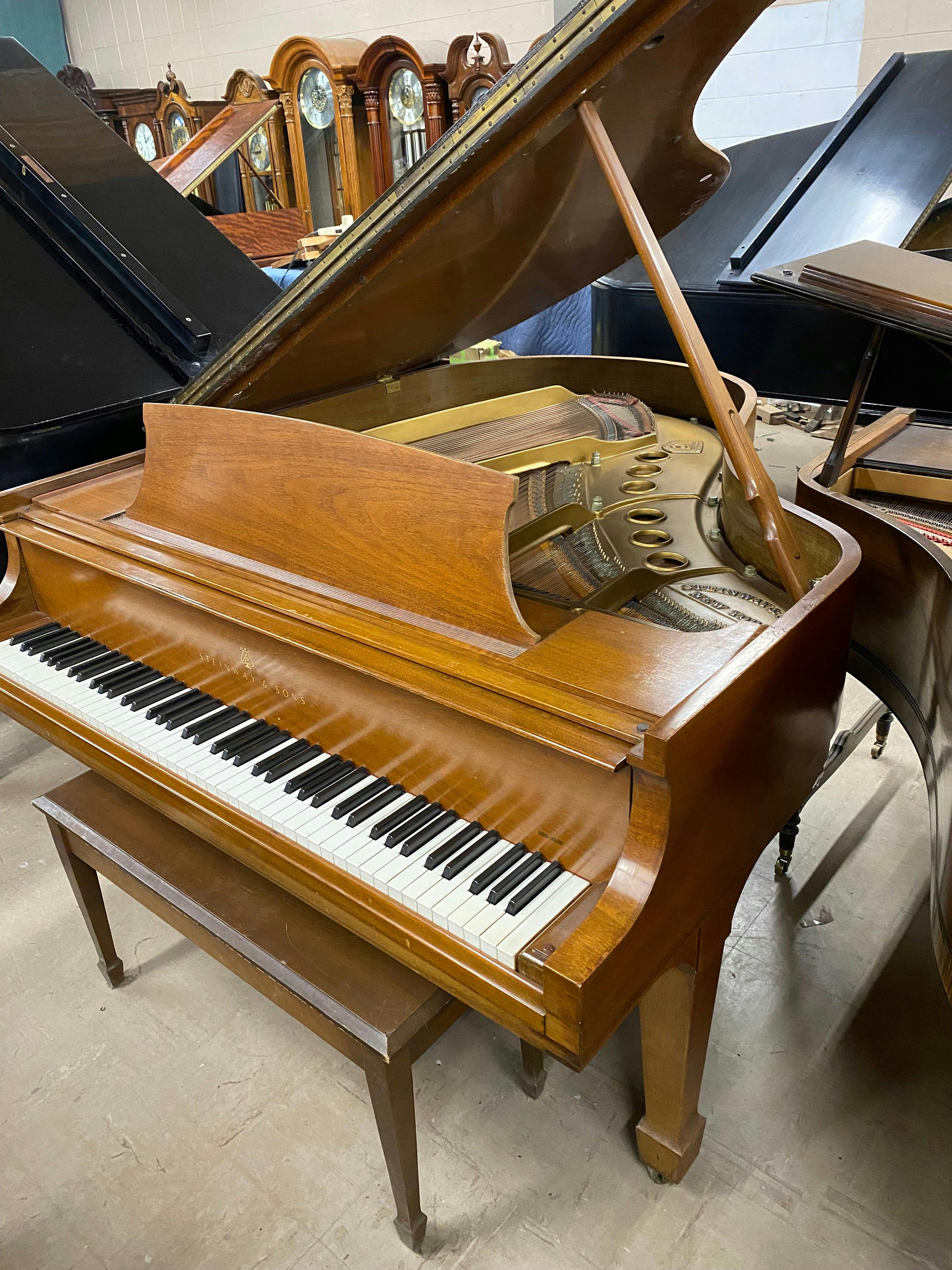 Steinway M Grand Piano - PhotoNov132023_50036PM