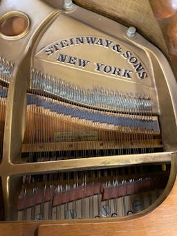 Steinway M Grand Piano - PhotoNov132023_50047PM