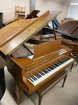 Steinway M Grand Piano - PhotoNov132023_50057PM